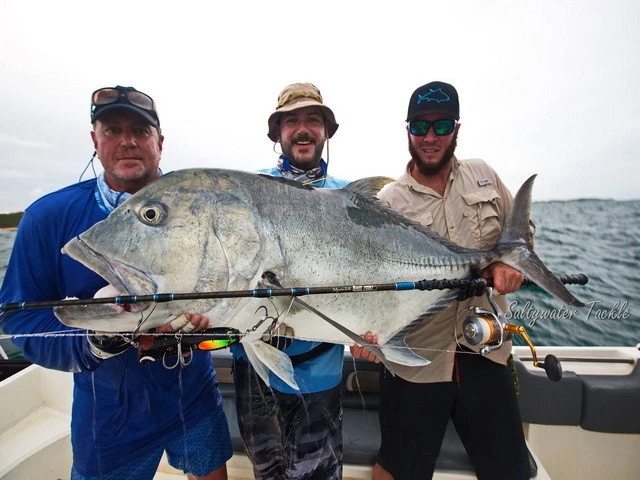 Borboleta Ballyhoo GT Poppers 1 Borboleta Ballyhoo GT Poppers