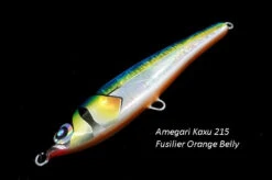 Amegari Kaxu 215FS 33 Amegari Kaxu 215FS -Salty Water Tackle p 1 0 3 8 6 10386 Amegari Kaxu 215 Fusilier Orange Belly