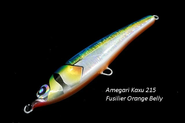 Amegari Kaxu 215FS 17 Amegari Kaxu 215FS - Image 17