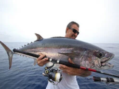 Saltywater Tackle Monster Ledge 250 St. (Soft Tip) Popping Rod