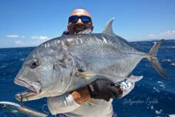 Lots Of Art Namu Pen 200