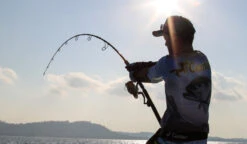 Centaur Combat Arm Surf Casting Or Shore Rod