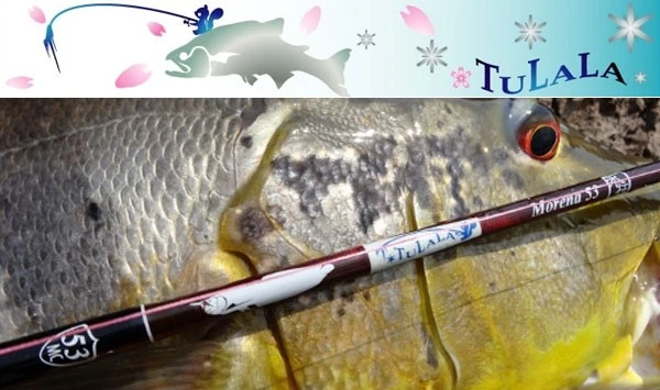 Tulala Bait Casting Rod 2 Tulala Bait Casting Rod - Image 2