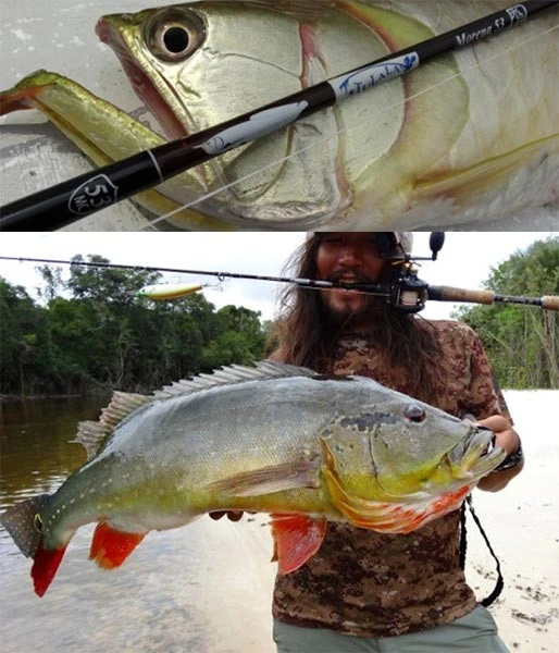 Tulala Bait Casting Rod 3 Tulala Bait Casting Rod - Image 3