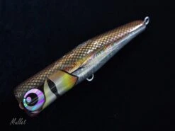 Amegari Dzanga 195 B-Cup 35 Amegari Dzanga 195 B-Cup -Salty Water Tackle p 1 0 9 2 8 10928 Mullet