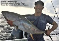 Borboleta Bally Short