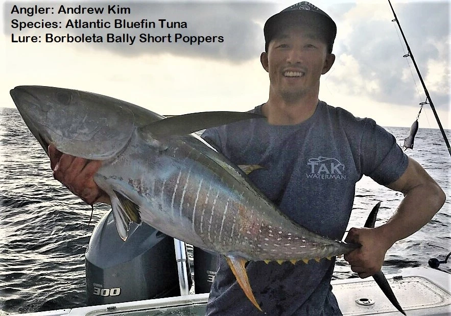 Borboleta Bally Short 1 Borboleta Bally Short