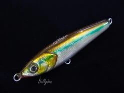 Amegari Lingo 160S -Salty Water Tackle p 1 1 1 1 6 11116 Ballyhoo
