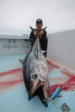 Hammerhead Cherry Asymmetry 240