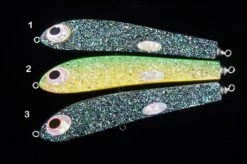 Shell Shaping Reef 230 Abalone