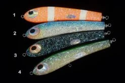 Shell Shaping Reef 200 Abalone