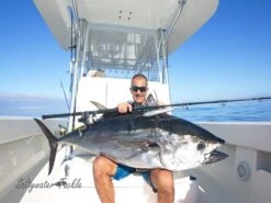 Saltywater Tackle Monster Ledge 200 St. (Soft Tip) Popping Rod