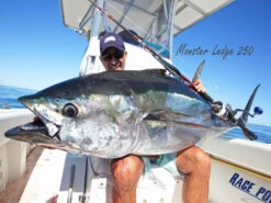 Saltywater Tackle Monster Ledge 250 Popping Rod