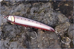 Maria Lure Rapido 190