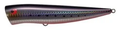Tackle House K-Ten TKP135 Popper -Salty Water Tackle p 1 1 6 2 6 11626 Sardine Red Belly