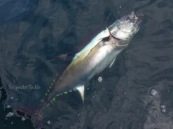 CB One Z4 Vertical Motion Jig