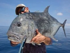 Rave Lure 220 By Saltywater Tackle -Salty Water Tackle p 1 1 9 4 2 11942 Rave Lure 220 by Saltywater Tackle 1