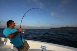 Saltywater Tackle El Maestro Series 38 Saltywater Tackle El Maestro Series -Salty Water Tackle p 1 1 9 6 7 11967 Saltywater Tackle El Maestro Series