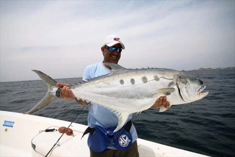 Saltywater Tackle El Maestro Series 18 Saltywater Tackle El Maestro Series - Image 18