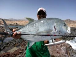 Saltywater Tackle El Maestro Series 36 Saltywater Tackle El Maestro Series -Salty Water Tackle p 1 1 9 6 9 11969 Saltywater Tackle El Maestro Series