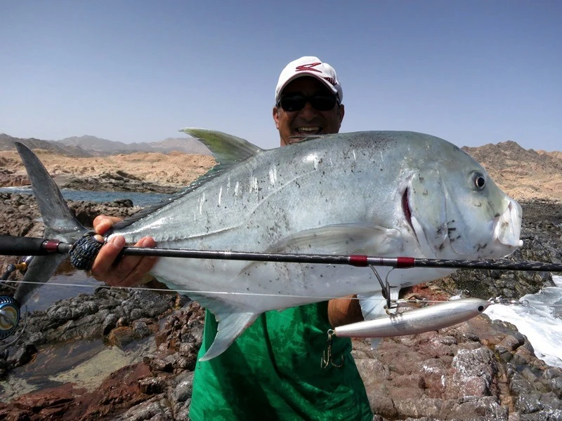 Saltywater Tackle El Maestro Series 17 Saltywater Tackle El Maestro Series - Image 17