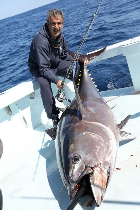 Saltywater Tackle Monster Ledge 300 Popping Rod 1 Saltywater Tackle Monster Ledge 300 Popping Rod