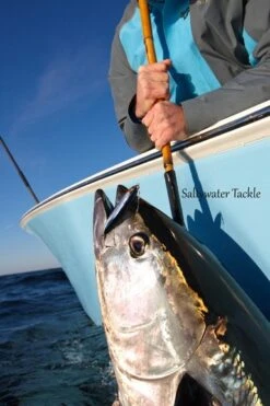 Tackle House Contact Britt CBP 120SW Sinking