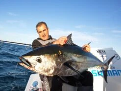 Tackle House Contact Britt CBP 145SW Sinking 23 Tackle House Contact Britt CBP 145SW Sinking -Salty Water Tackle p 1 2 2 2 9 12229 Tackle House Contact Britt CBP 120SW Sinking 1