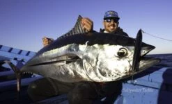 Rave Lure 240 By Saltywater Tackle -Salty Water Tackle p 1 2 2 3 2 12232 Rave Lure 220 by Saltywater Tackle