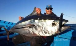 Saltywater Tackle Monster Ledge 250 St. (Soft Tip) Popping Rod -Salty Water Tackle p 1 2 2 7 1 12271 Saltywater Tackle Monster Ledge 250 St. Soft Tip Popping Rod