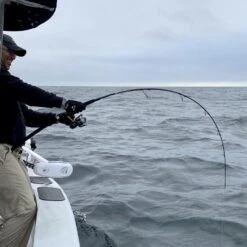 Saltywater Tackle El Maestro Series 32 Saltywater Tackle El Maestro Series -Salty Water Tackle p 1 2 2 8 1 12281 Saltywater Tackle El Maestro Series