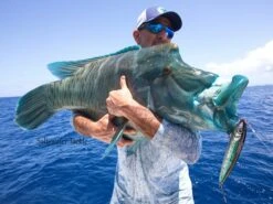 Rave Lures 180 By Saltywater Tackle -Salty Water Tackle p 1 2 5 5 5 12555 Rave Lures 180 by Saltywater Tackle