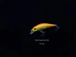 DUO Spearhead Ryuki 50S -Salty Water Tackle p 1 2 6 3 8 12638 Matte Orange Back Goldy