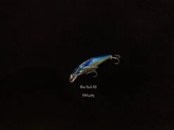 DUO Spearhead Ryuki 50S -Salty Water Tackle p 1 2 6 4 4 12644 Blue Back RB
