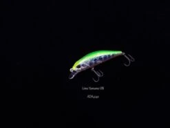 DUO Spearhead Ryuki 45S 37 DUO Spearhead Ryuki 45S -Salty Water Tackle p 1 2 6 6 2 12662 DUO Spearhead Ryuki 45S