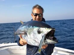 Tackle House Feed Popper 175