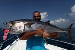 Craft Bait GT3 Big Mouth 130g