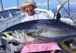 Hot’s Keiko Ocean Chugaya 225