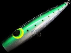 Hammerhead Sharapoa 170 -Salty Water Tackle p 1 3 3 9 7 13397 Hammer Head Sharapoa 170 13F