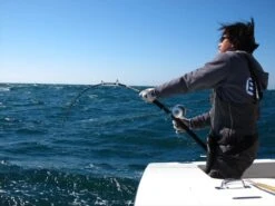 Valley Hill Exploder Series 28 Valley Hill Exploder Series -Salty Water Tackle p 2 2 3 9 2239 Valley Hill Exploder Series