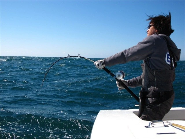 Valley Hill Exploder Series 11 Valley Hill Exploder Series - Image 11