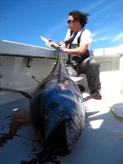 Valley Hill Exploder Series 29 Valley Hill Exploder Series -Salty Water Tackle p 2 2 4 0 2240 Valley Hill Exploder Series