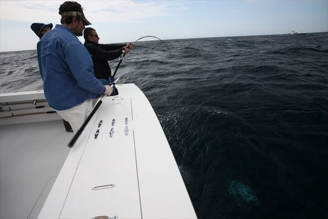 Valley Hill Exploder Series 14 Valley Hill Exploder Series - Image 14