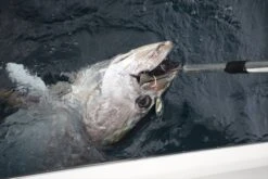 Valley Hill Exploder Series 32 Valley Hill Exploder Series -Salty Water Tackle p 2 3 9 3 2393 Valley Hill Exploder Series