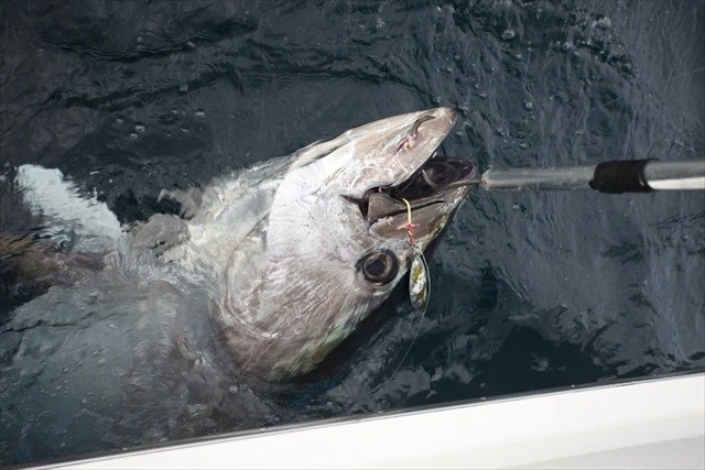 Valley Hill Exploder Series 15 Valley Hill Exploder Series - Image 15