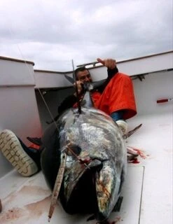 Shout Jig Shab Shab -Salty Water Tackle p 2 5 5 0 2550 Shout Jig Shab Shab