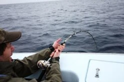 Valley Hill Exploder Series 33 Valley Hill Exploder Series -Salty Water Tackle p 2 7 3 5 2735 Valley Hill Exploder Series