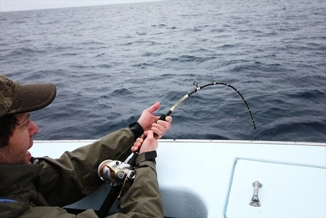 Valley Hill Exploder Series 16 Valley Hill Exploder Series - Image 16