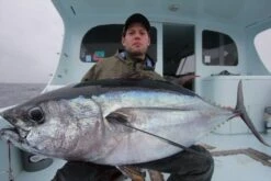 Valley Hill Exploder Series 34 Valley Hill Exploder Series -Salty Water Tackle p 2 7 3 6 2736 Valley Hill Exploder Series