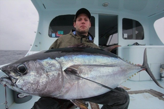 Valley Hill Exploder Series 17 Valley Hill Exploder Series - Image 17